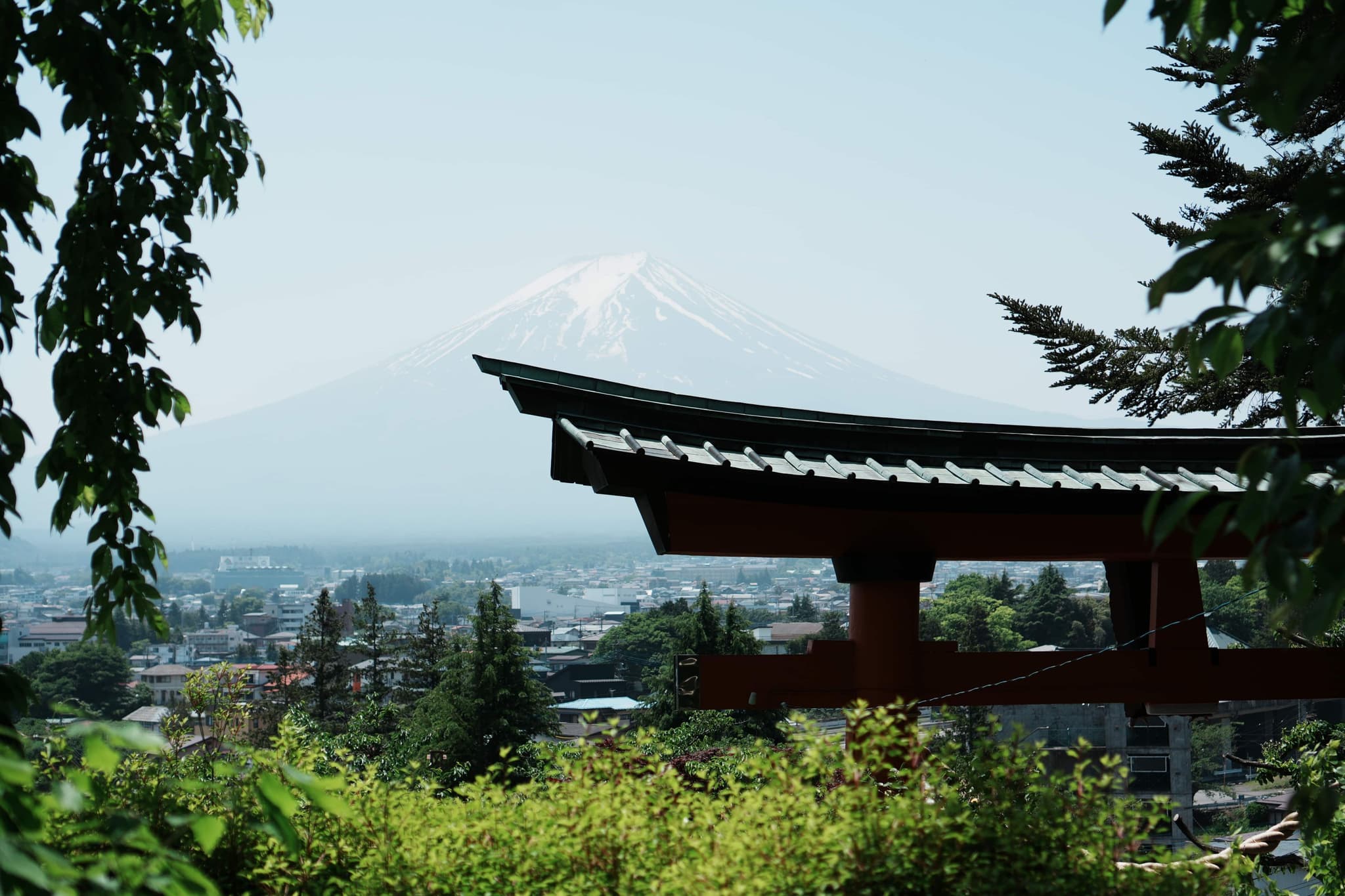 Fuji San
