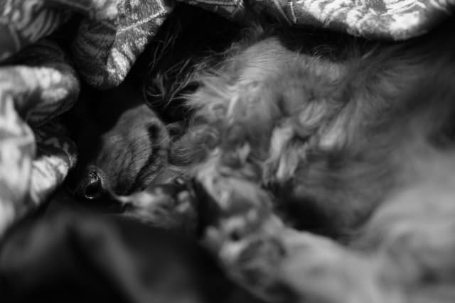 April Challenge Day 6 - Black & White